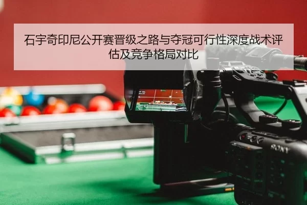 shi-yu-qi-yin-ni-gong-kai-sai-jin-ji-zhi-lu-yu-duo-guan-ke-xing-xing-shen-du-zhan-shu-ping-gu-ji-jing-zheng-ge-ju-dui-bi-2-682.jpg