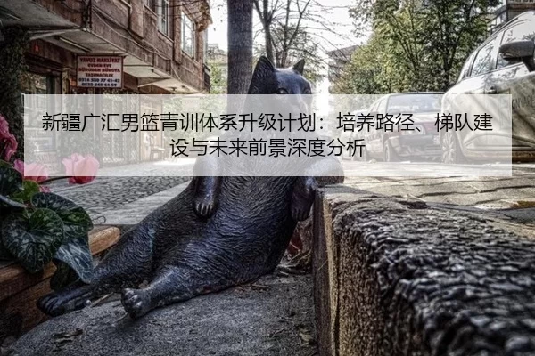新疆广汇男篮青训体系升级计划：培养路径、梯队建设与未来前景深度分析