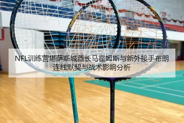 NFL训练营堪萨斯城酋长马霍姆斯与新外接手布朗连线默契与战术影响分析