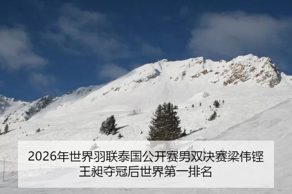2026年世界羽联泰国公开赛男双决赛梁伟铿王昶夺冠后世界第一排名